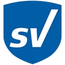 Safevision logo