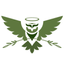 Sage Angel Foundation Inc logo