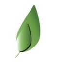 Sage Behavior Services, Inc. logo
