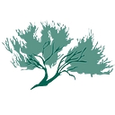 Sage Forensic Accounting, Inc. logo