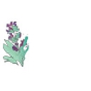 Sage Holistic Health logo