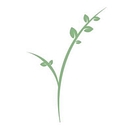 The 501 at Madison Estate