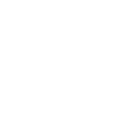 Sagely & Co. logo