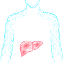 Sagimet Biosciences Inc. logo