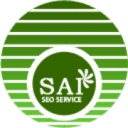 Sai Seo And Web Solutions logo