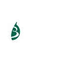 SaintQuant