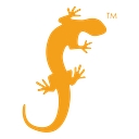 Salamander logo