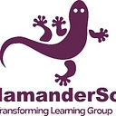 SalamanderSoft Limited