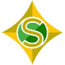 The Salem Professional Services Group, Inc. logo