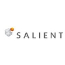 Salient Business Intelligence Inc. logo