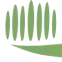 Salinas Valley Dental Care