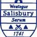 Town of Salisbury logo