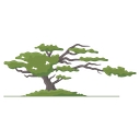 Salishan Spa And Golf Resort logo