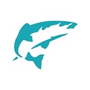 Salmon Software Limited logo