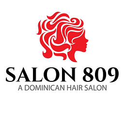 Salon 809 logo
