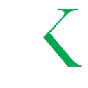 Salon Kelektiv logo