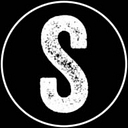 Salon Platinum logo