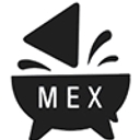 Salsa Fiesta logo