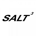 Salt3 logo