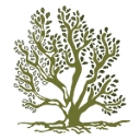 Saltbush Social Enterprises logo