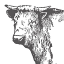 Salterandking logo