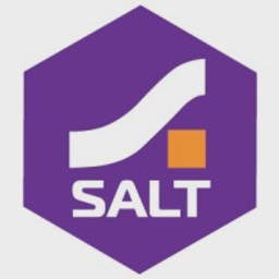 SALT Group Limited logo
