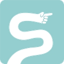 saltinourhair.com logo