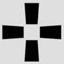 saltproject.org icon