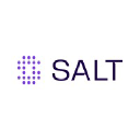 saltsecurity logo