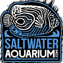 Saltwateraquarium