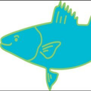 Saltwater logo