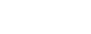 Saluministi logo