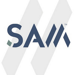 Surveying and Mapping LLC logo