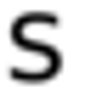 Samson Management logo
