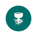Sana Roots Co logo