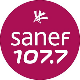 Sanef logo