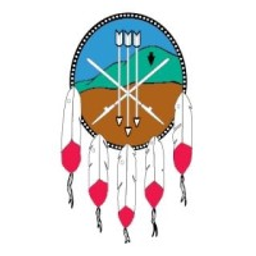 Sanmanuel logo