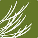 SANTA FE COMMUNITY FOUNDATION logo