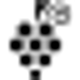 Santa Rita USA Corporation logo