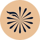 Sapphire Eye Care logo