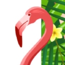 Sarasota Jungle Gardens