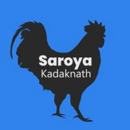 SAROYA LIMITED logo