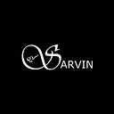 Sarvin logo