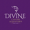 Caviar & Caviar Usa logo