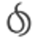 Logo for saschafitness.com