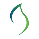 SazskEnergy logo