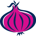 The Sassy Onion logo