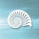 The Saturday Center logo