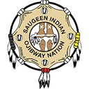 Saugeen First Nation #29 logo