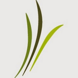 SP